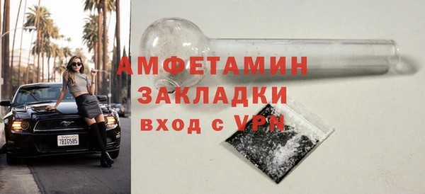 прущие грибы Михайлов