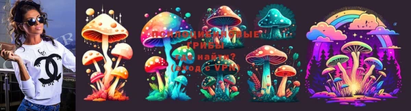 прущие грибы Михайловск