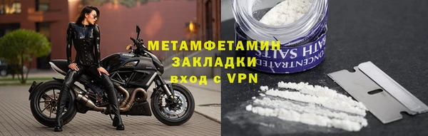 прущие грибы Михайлов