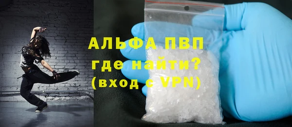 прущие грибы Михайловск
