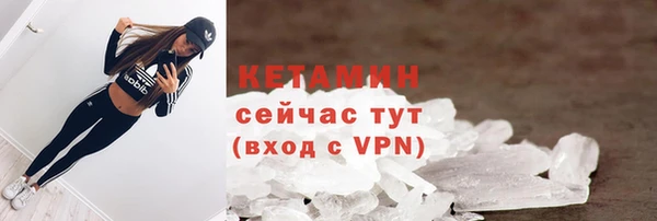 прущие грибы Михайловск