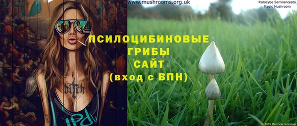 прущие грибы Михайловск