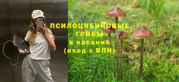 прущие грибы Михайловск