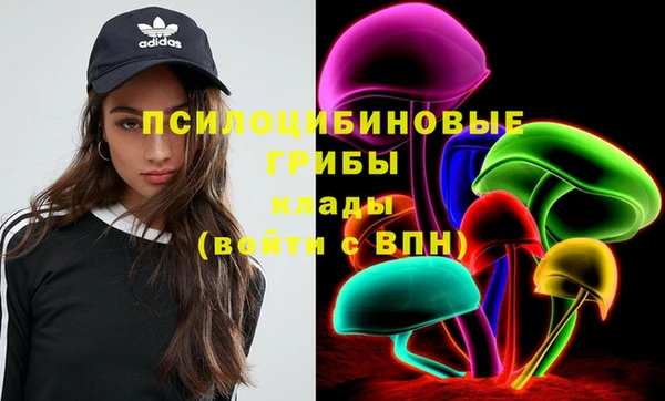 прущие грибы Михайлов