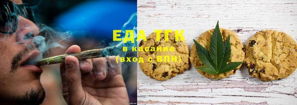 прущие грибы Михайлов