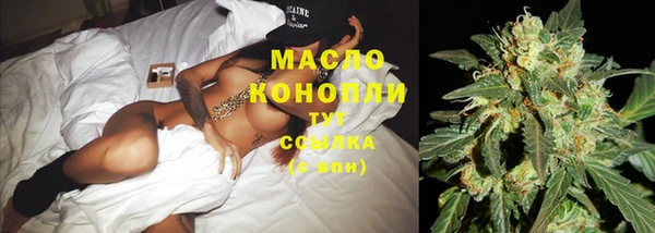 прущие грибы Михайлов