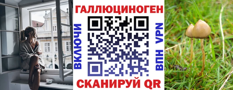 где купить наркоту  Ртищево  Псилоцибиновые грибы Psilocybine cubensis 