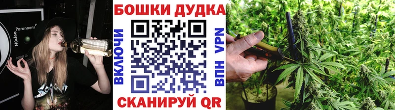 наркота  Ртищево  Бошки Шишки Amnesia 